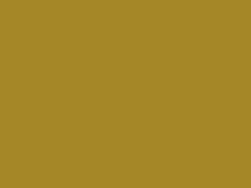 #A58727 color image