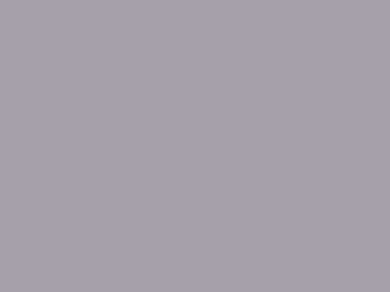 #A6A0AA color image