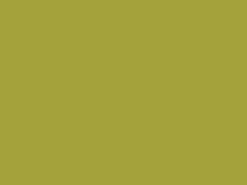 #A6A23A color image