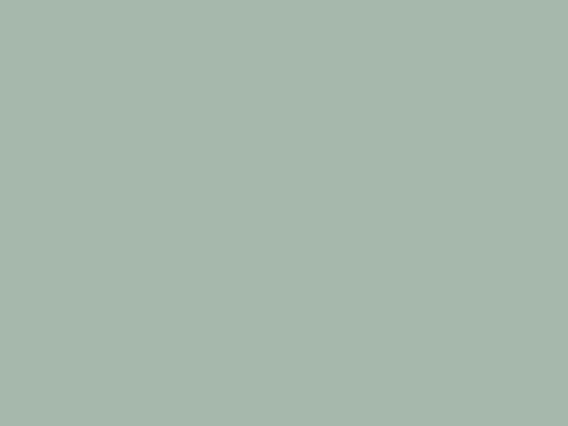 #A6B8AC color image