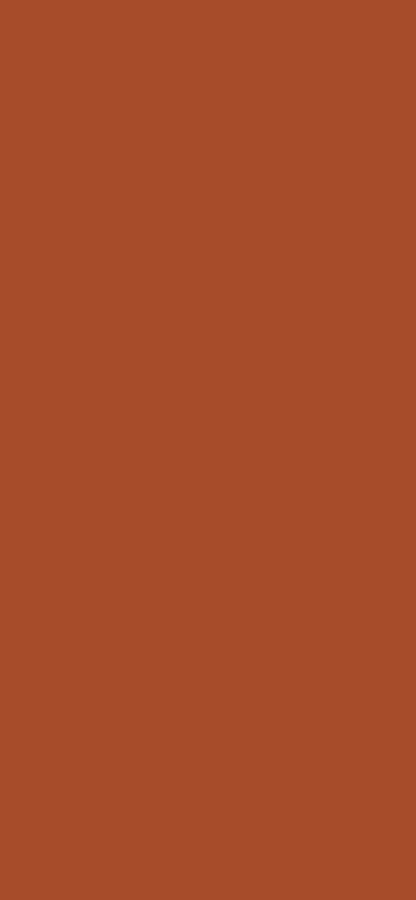 #A74C2A color image