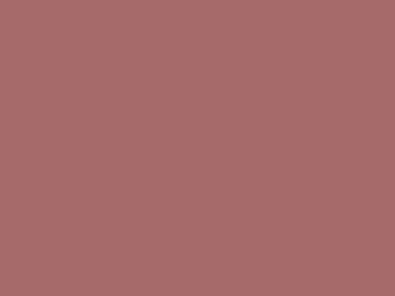 #A76A6A color image