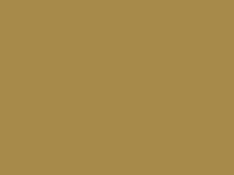 #A78A4A color image