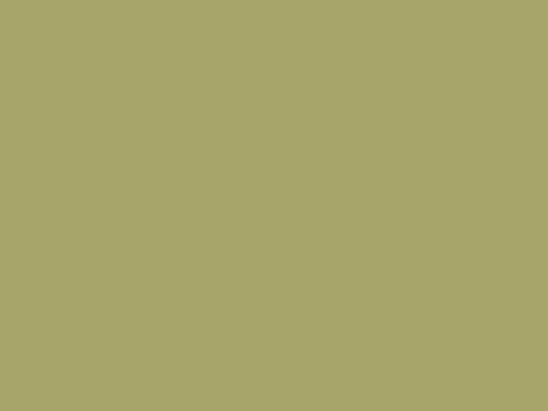 #A7A56A color image