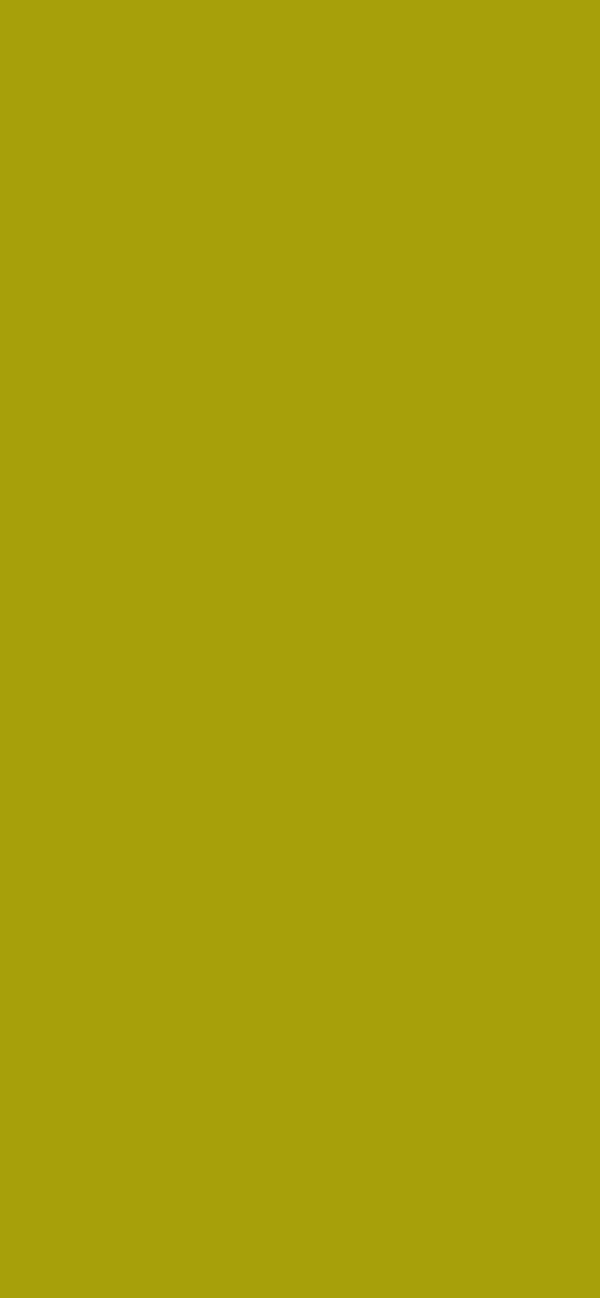 #A8A00A color image