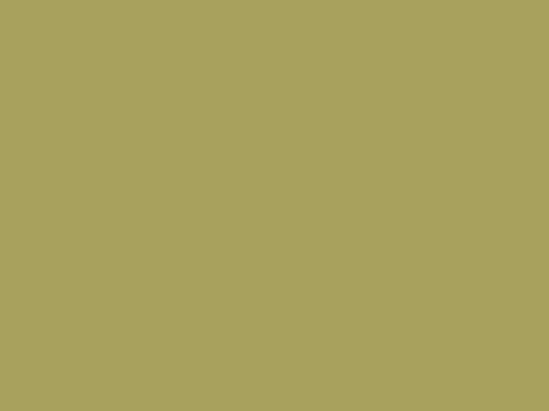 #A8A15D color image