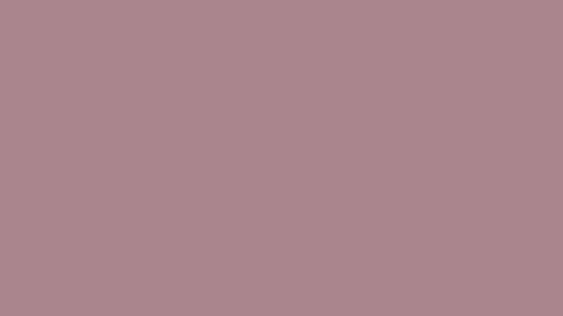 #A9858C color image