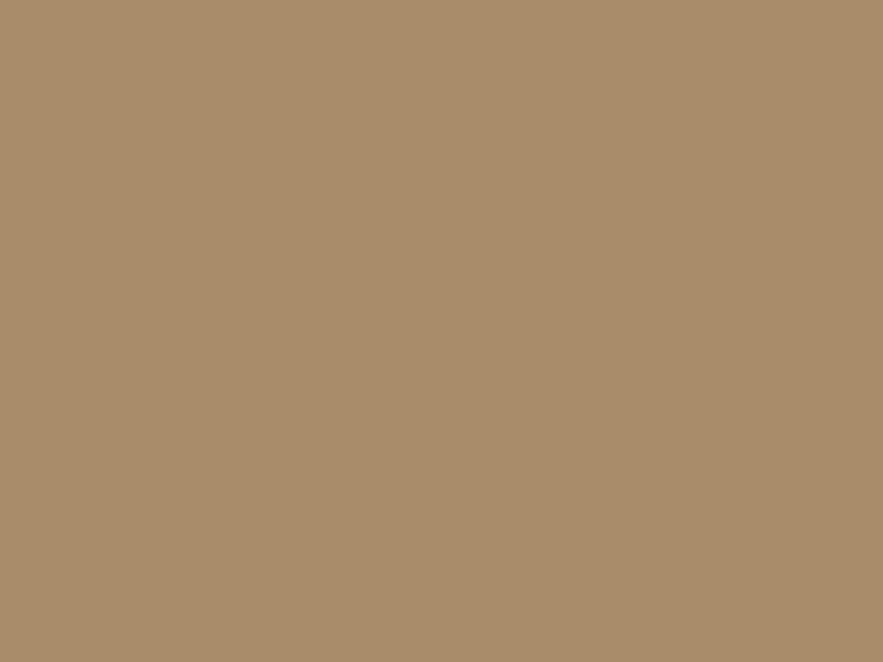 #A98D6A color image