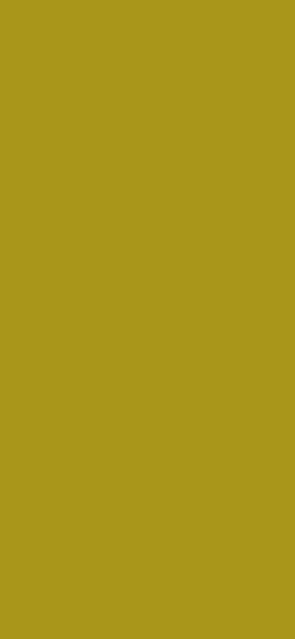 #A9961A color image