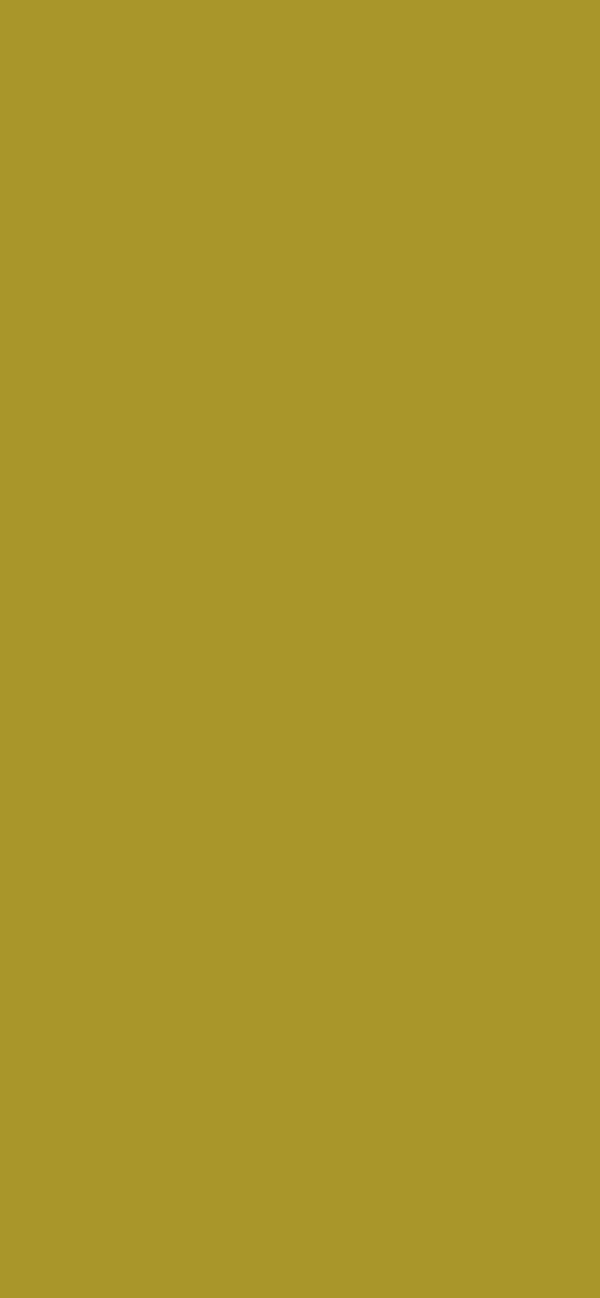 #A9962A color image