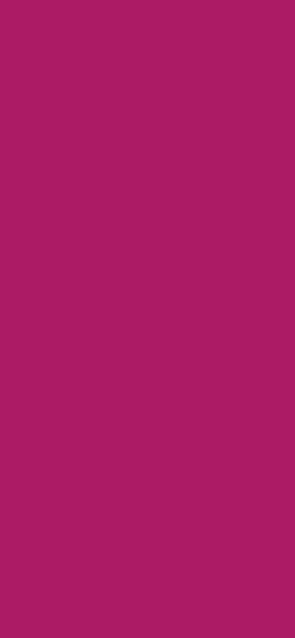 #AC1B65 color image