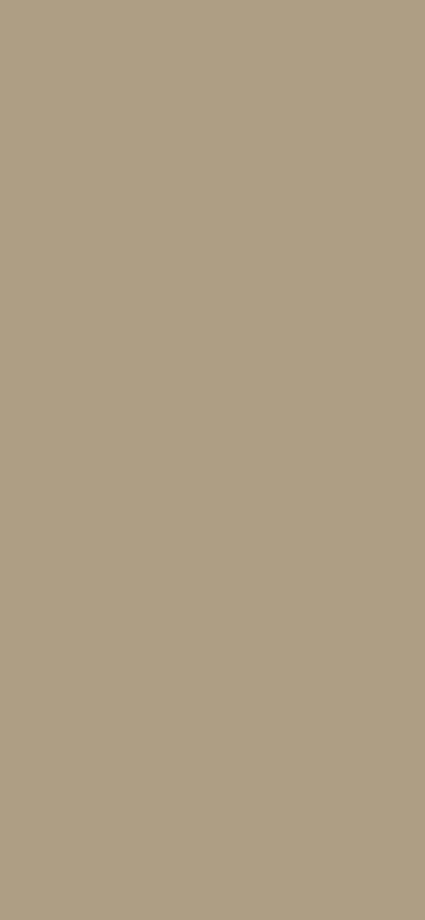 #AD9E88 color image
