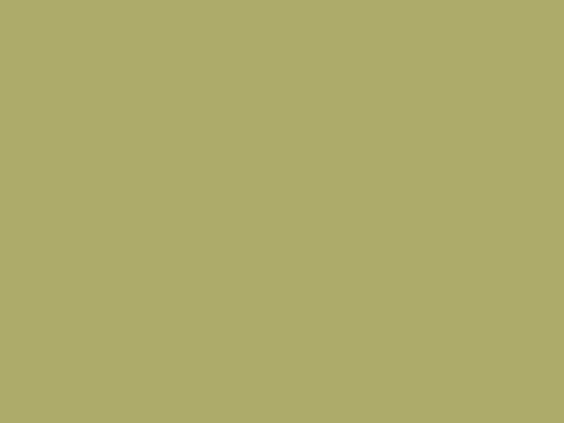 #ADAB6A color image