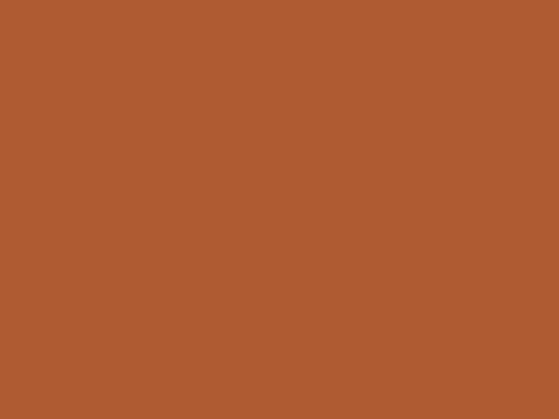 #AF5B32 color image