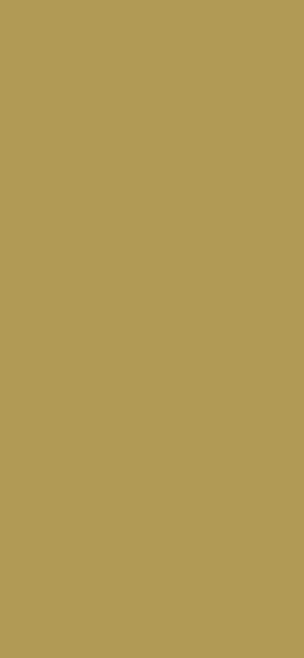 #B19A55 color image