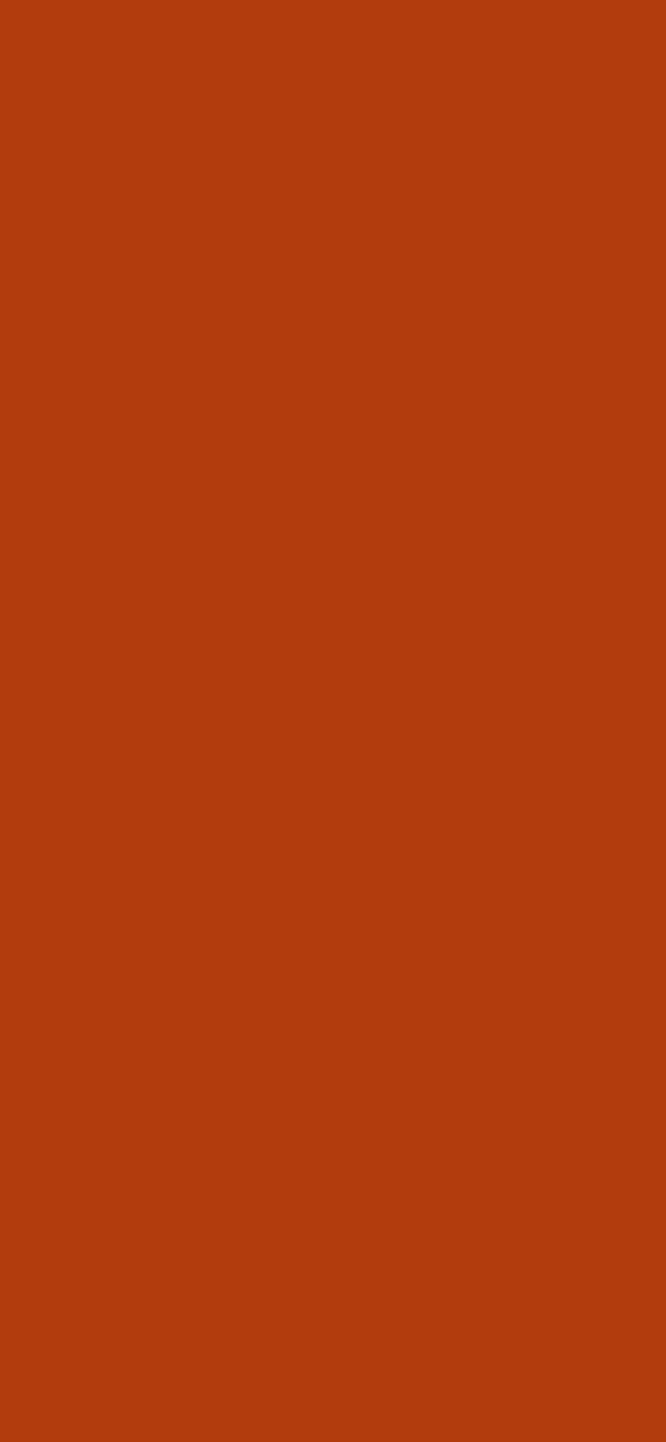 #B23C0D color image