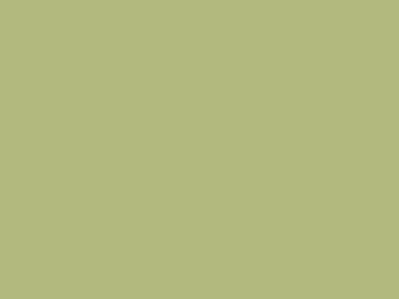 #B2B97E color image