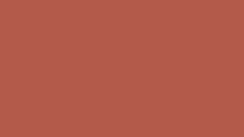 #B35A4A color image