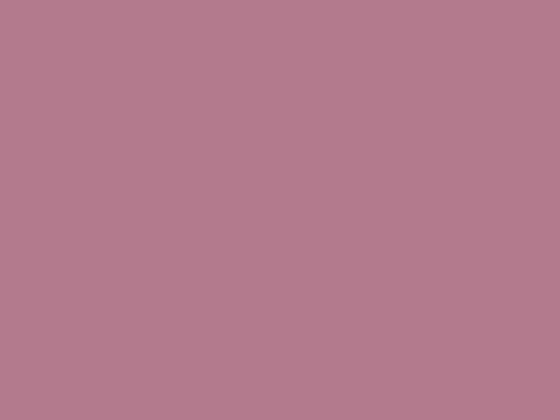 #B37A8D color image