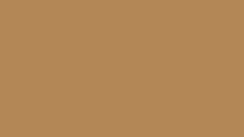 #B38856 color image