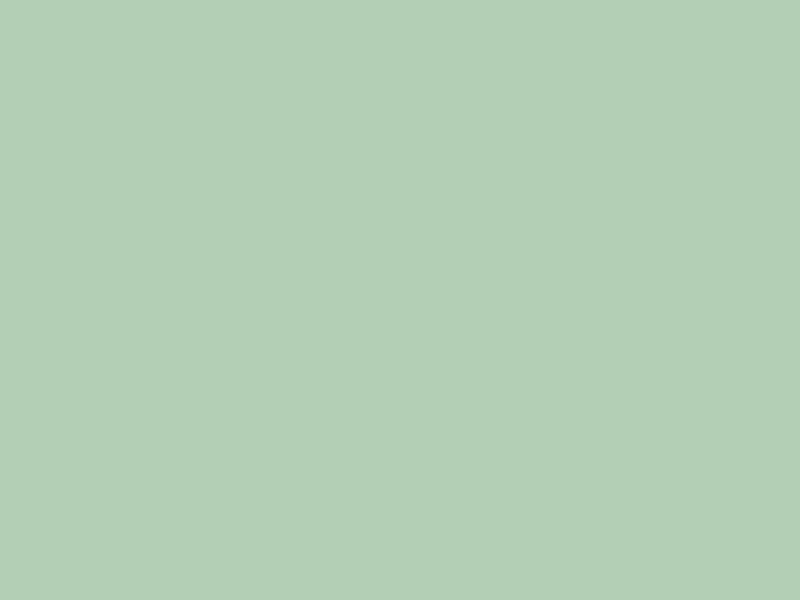 #B3CFB5 color image