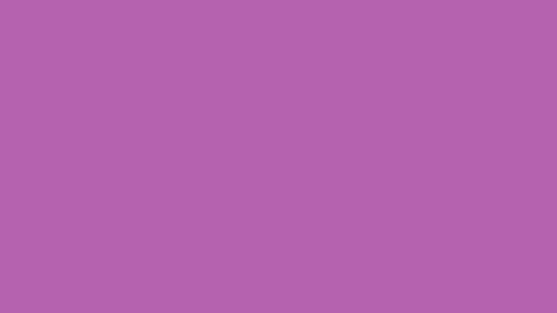 #B562AF color image