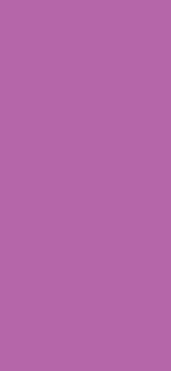 #B566A9 color image