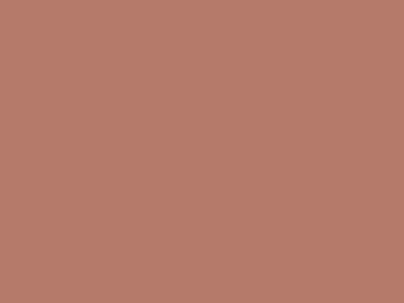 #B57A6A color image