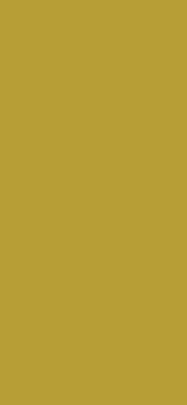#B79E36 color image