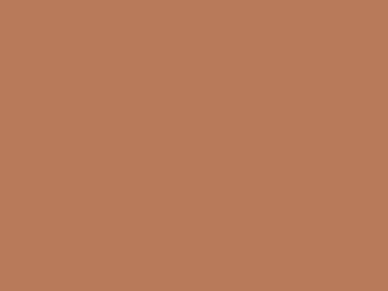 #B87A5A color image