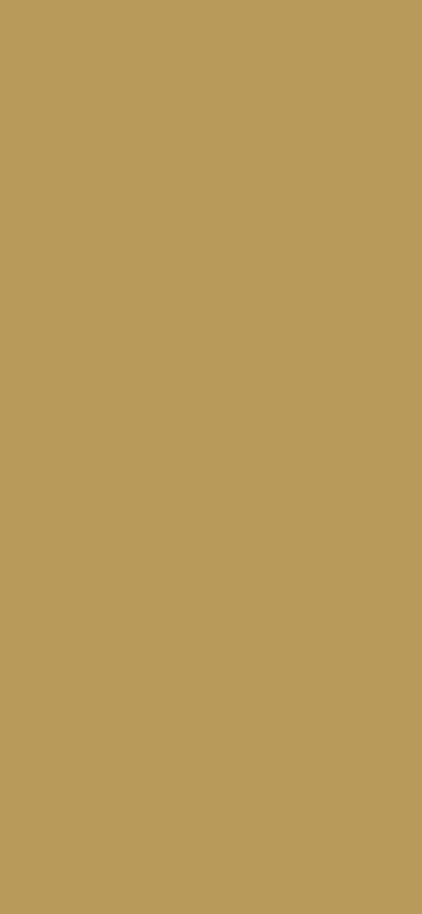 #B89A5A color image