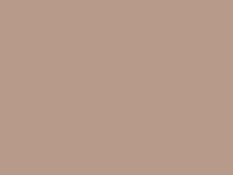 #B89A8A color image