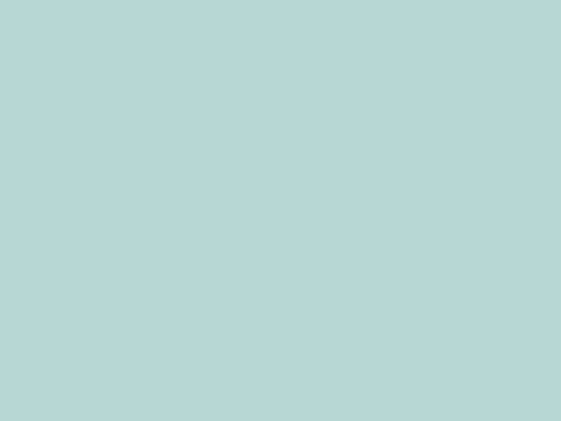 #B8D7D3 color image