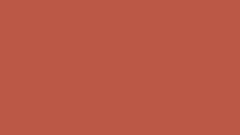 #BB5846 color image