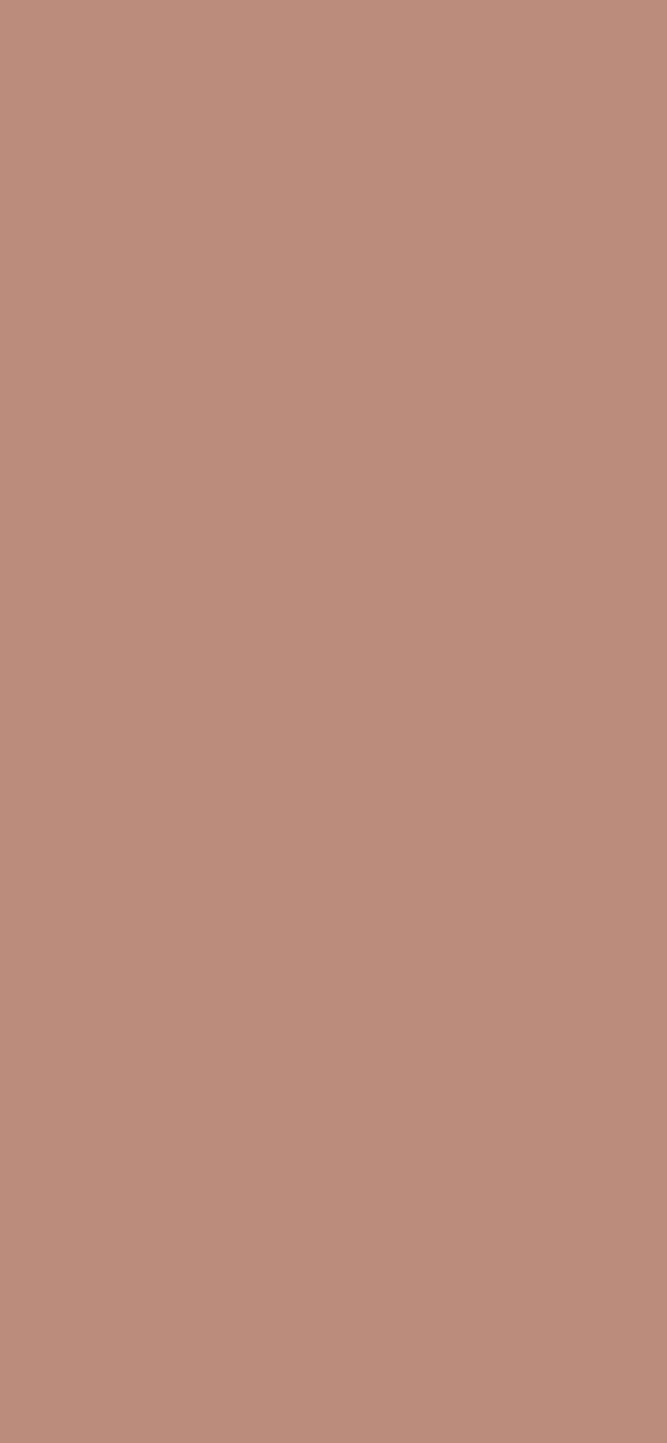 #BB8B7B color image