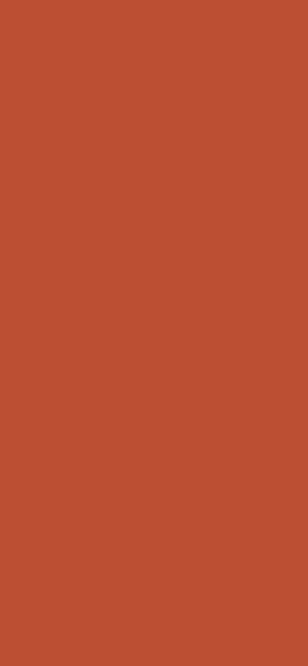 #BC4F33 color image