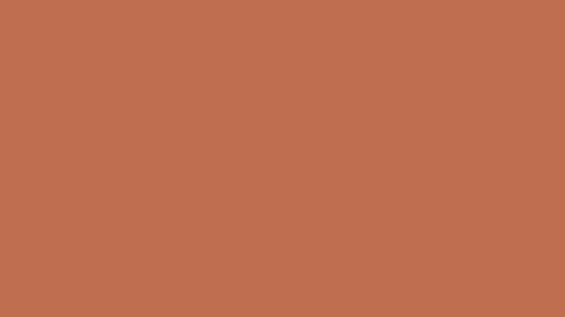 #BD6F50 color image