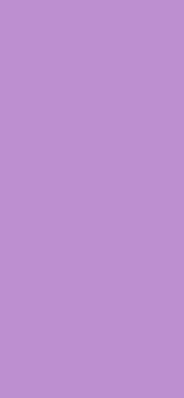 #BD8FCF color image