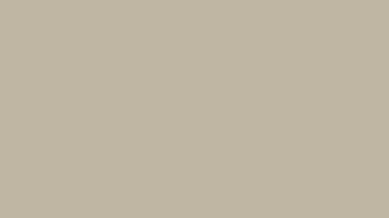 #BFB6A3 color image