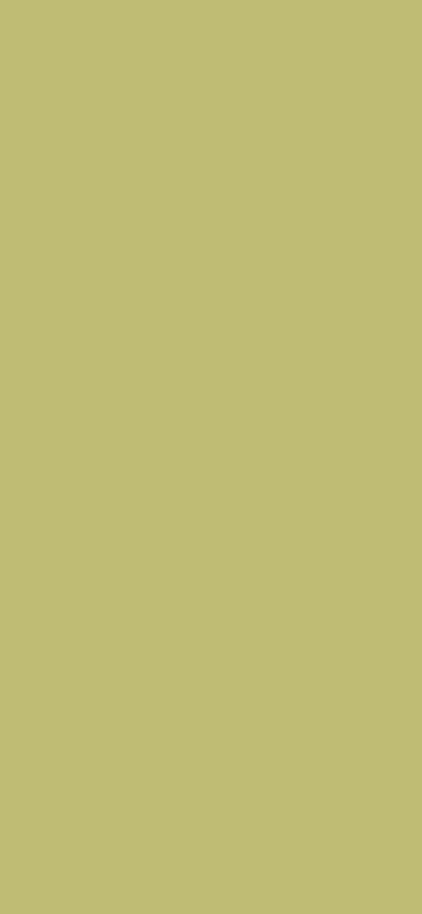 #BFBC74 color image