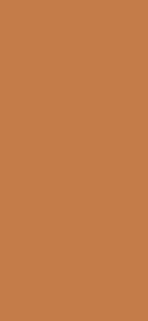 #C47C49 color image