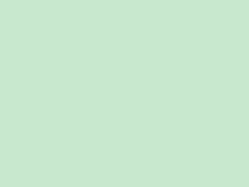 #C8E8CE color image