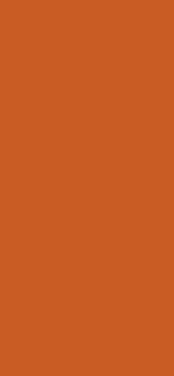 #C95C25 color image