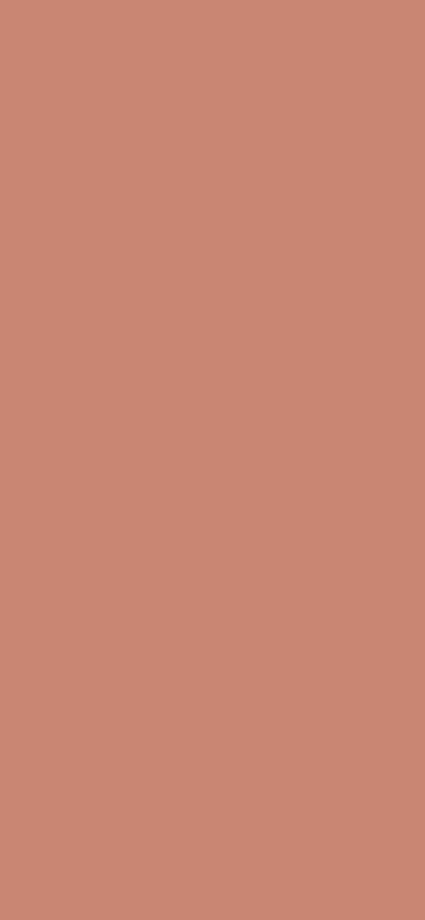 #C98773 color image