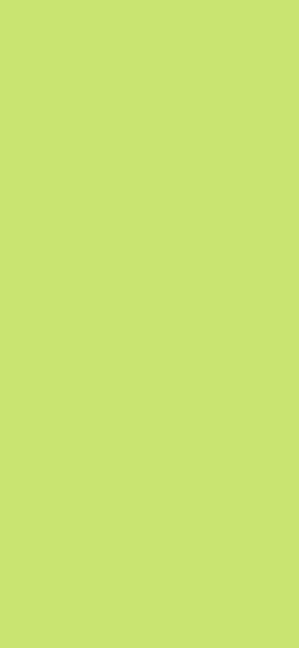 #C9E471 color image