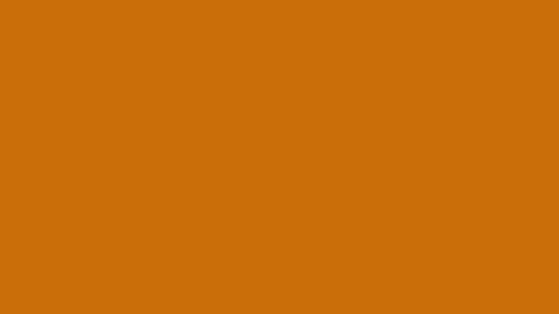 #CA6E0A color image