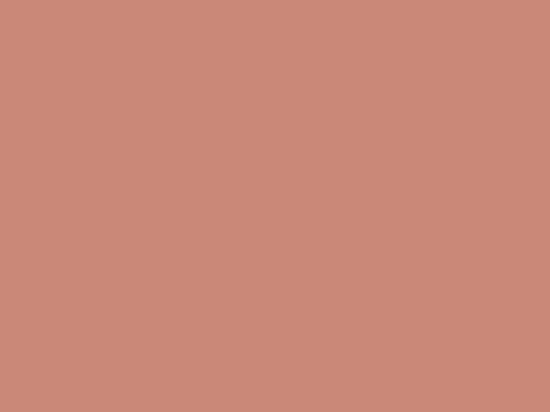 #CA8A7A color image