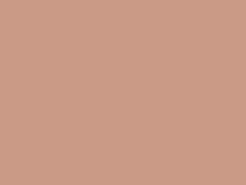 #CA9A86 color image