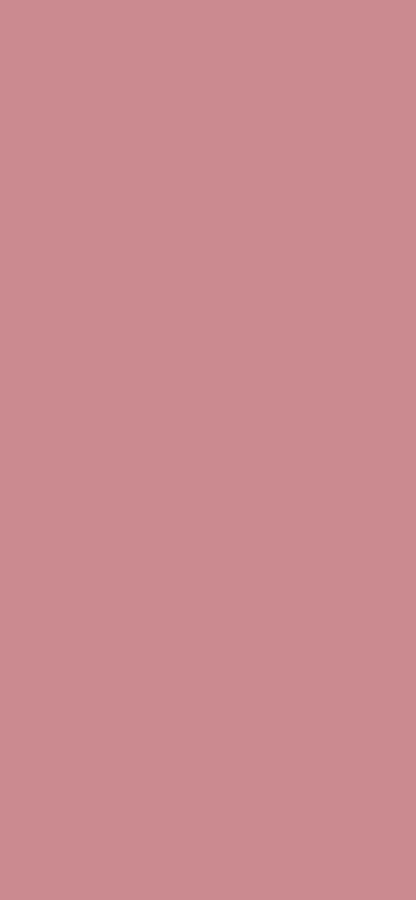 #CB8A90 color image