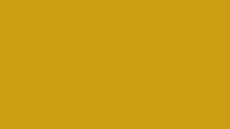 #CBA113 color image